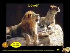 Löwen-Präsentation.pdf